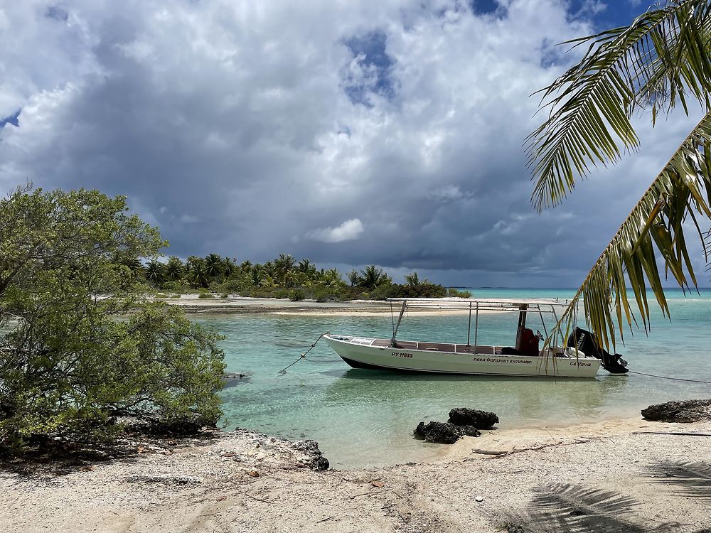 Retour de POLYNÉSIE : TIKEHAU (2) - PATOUTAILLE