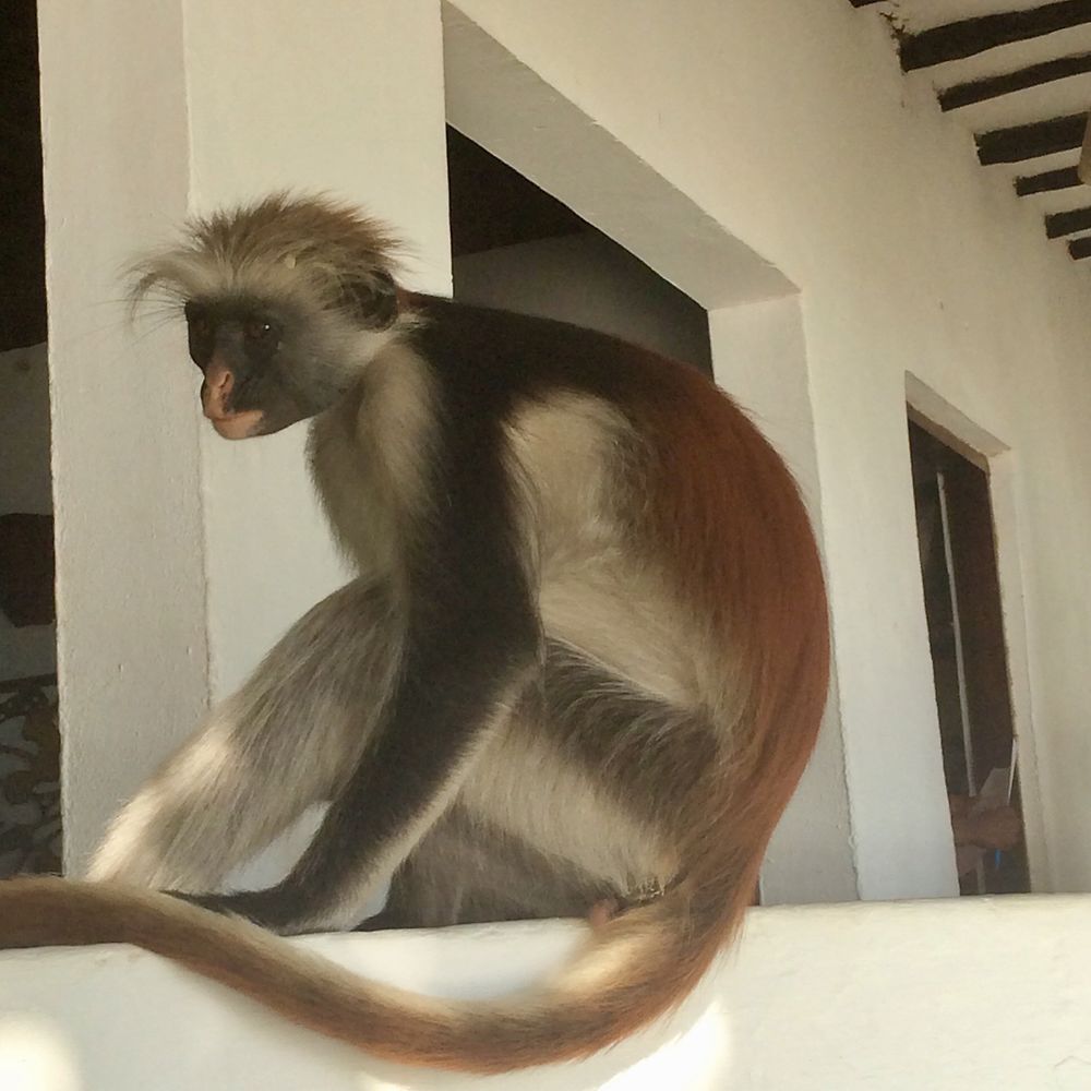 Re: Retour rapide d'un voyage magnifique en Namibie - Botswana (Chobe) - Chutes Victoria - Luss93