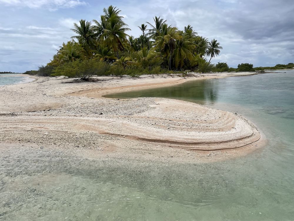 Retour de POLYNÉSIE : TIKEHAU (2) - PATOUTAILLE