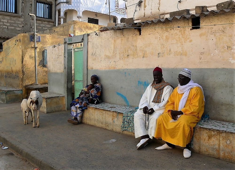 Visages et instantanés du Sénégal, Saint Louis et ses environs ... - fabienne65