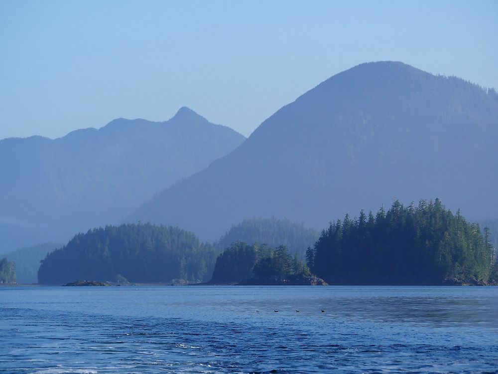 (suite) L'Ouest canadien à pleins poumons: épisode 3, l'île de Vancouver et Vancouver - fabienne65