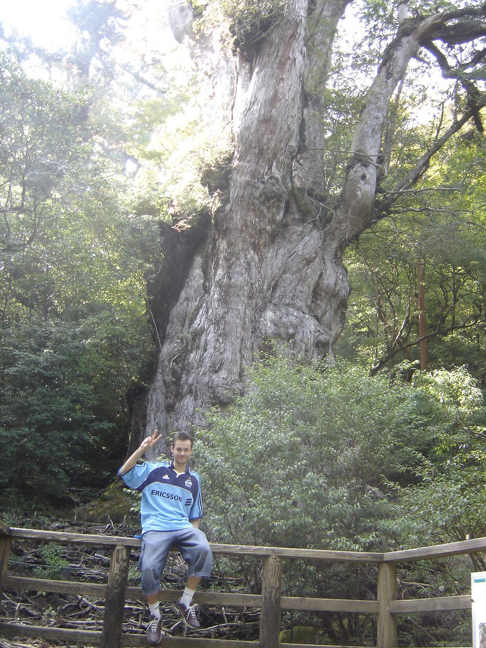 Photos Yakushima - Rodolphe4478