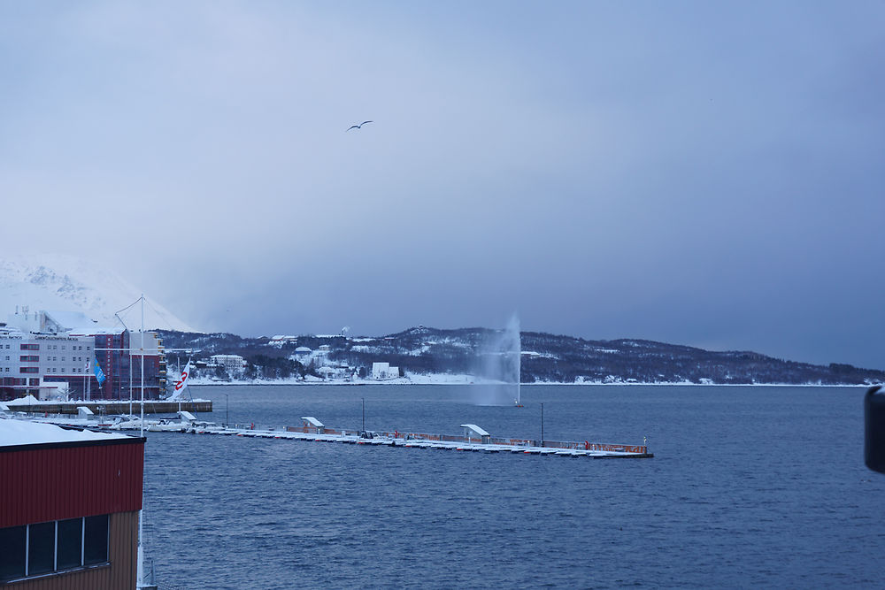 Express Côtier BERGEN / KIRKENES / BERGEN - cartesien