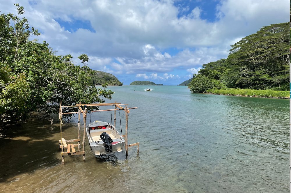 Retour de POLYNÉSIE : HUAHINE (2) - PATOUTAILLE