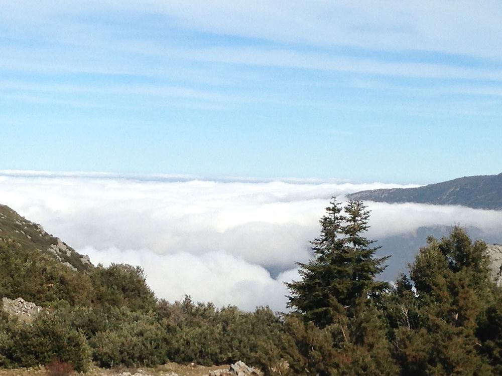 Re: le sommet naturel (gite rural du rif marocain) vers chefchaouen - paloma2 Re: le sommet naturel (gite rural du rif marocain) vers chefchaouen - paloma2