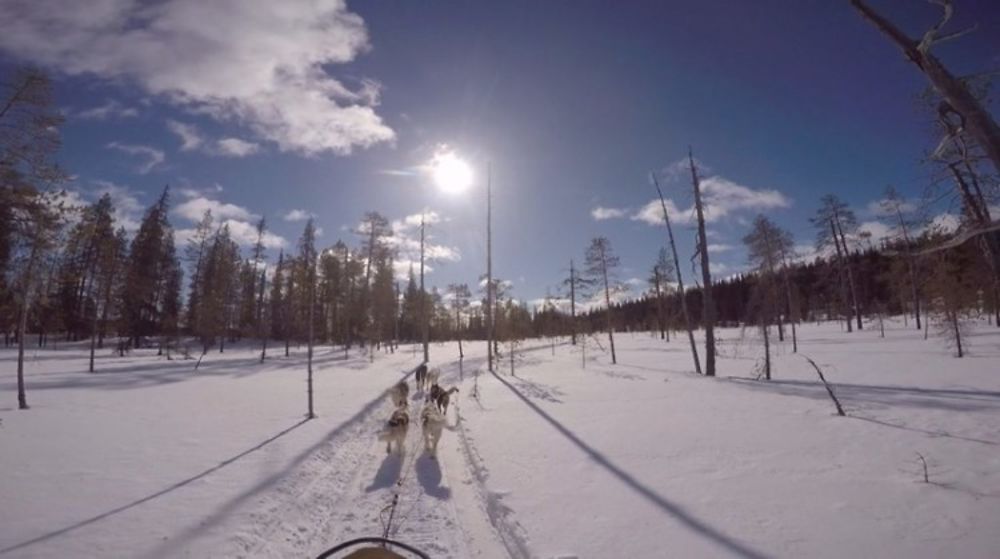 Voyage multi-activités en Laponie finlandaise chez l'habitant - Joh et Max