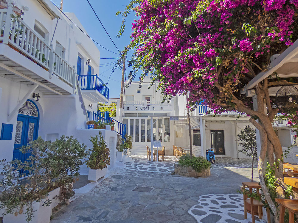 Re: Retour de voyage : Athènes - Mykonos - Santorin (7 jours) - atnah50