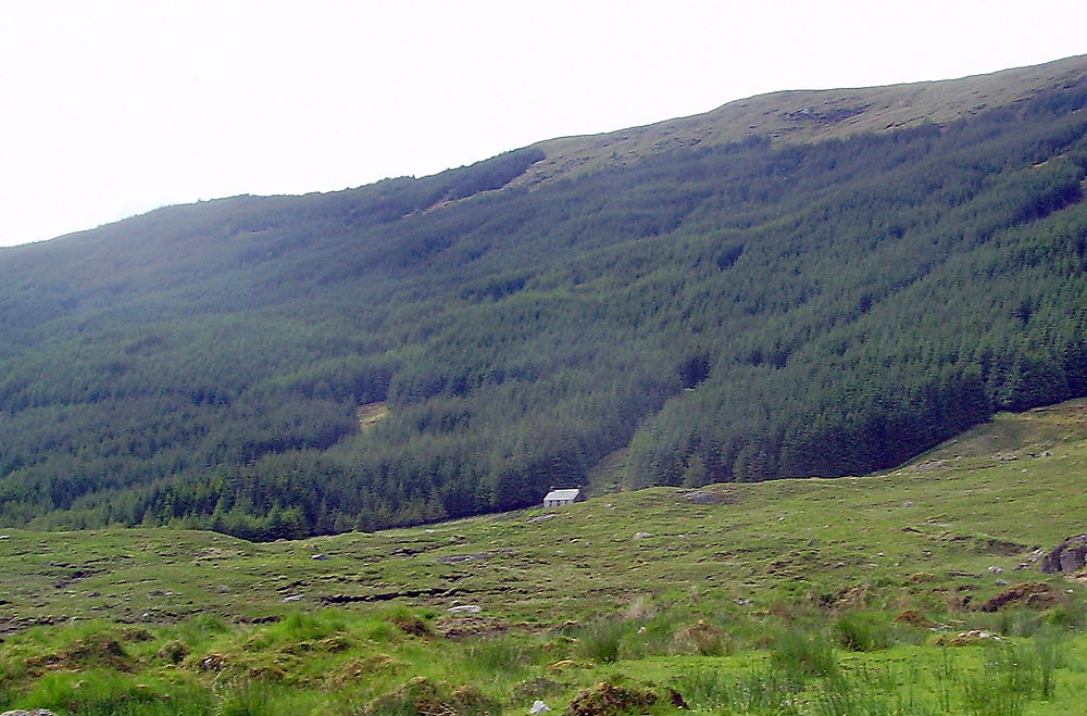 Petite rétrospective (suite ) Images du Knoydart - calamity jane