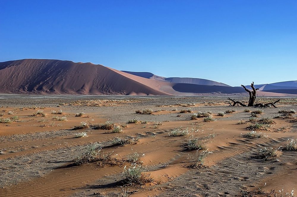 Re: Namibie Juin 2018 - Un Voyage Fabuleux ( suite & fin) - Iznogoed