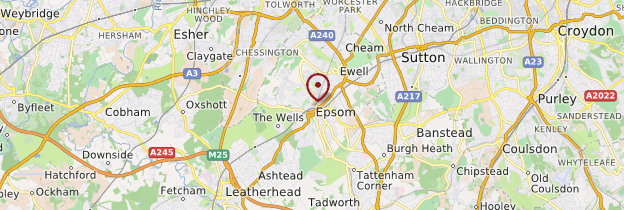 Carte Epsom - Angleterre