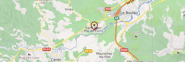 Carte Saint-Jean-Pla-de-Corts - Languedoc-Roussillon