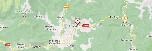 Carte Le Vigan - Languedoc-Roussillon