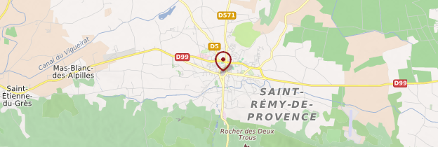 Carte Saint-Rémy-de-Provence - Provence