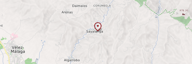 Carte Sayalonga - Andalousie