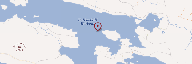 Carte Ballynakill Harbour - Irlande
