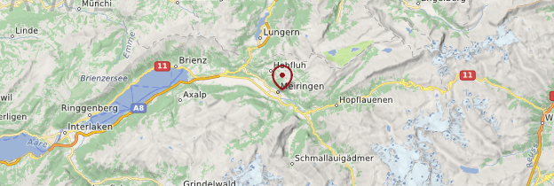 Carte Meiringen - Suisse