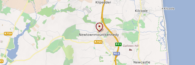 Carte Newtownmountkennedy - Irlande
