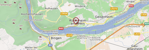 Carte Rüdesheim am Rhein - Allemagne